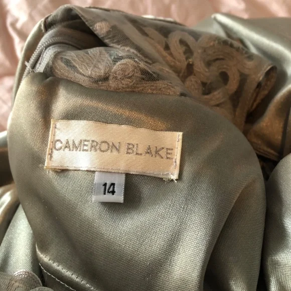 Cameron Blake size 14 silver grey gown - Picture 3 of 6